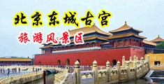欧美美女用工具自操B中国北京-东城古宫旅游风景区